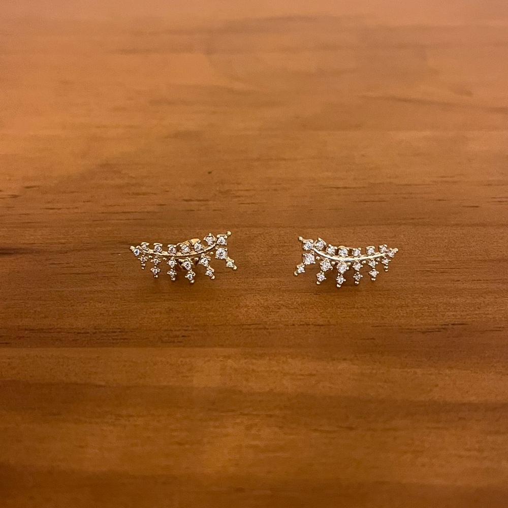 Kendra Scott earrings